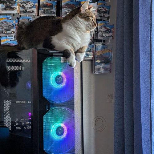 avatar