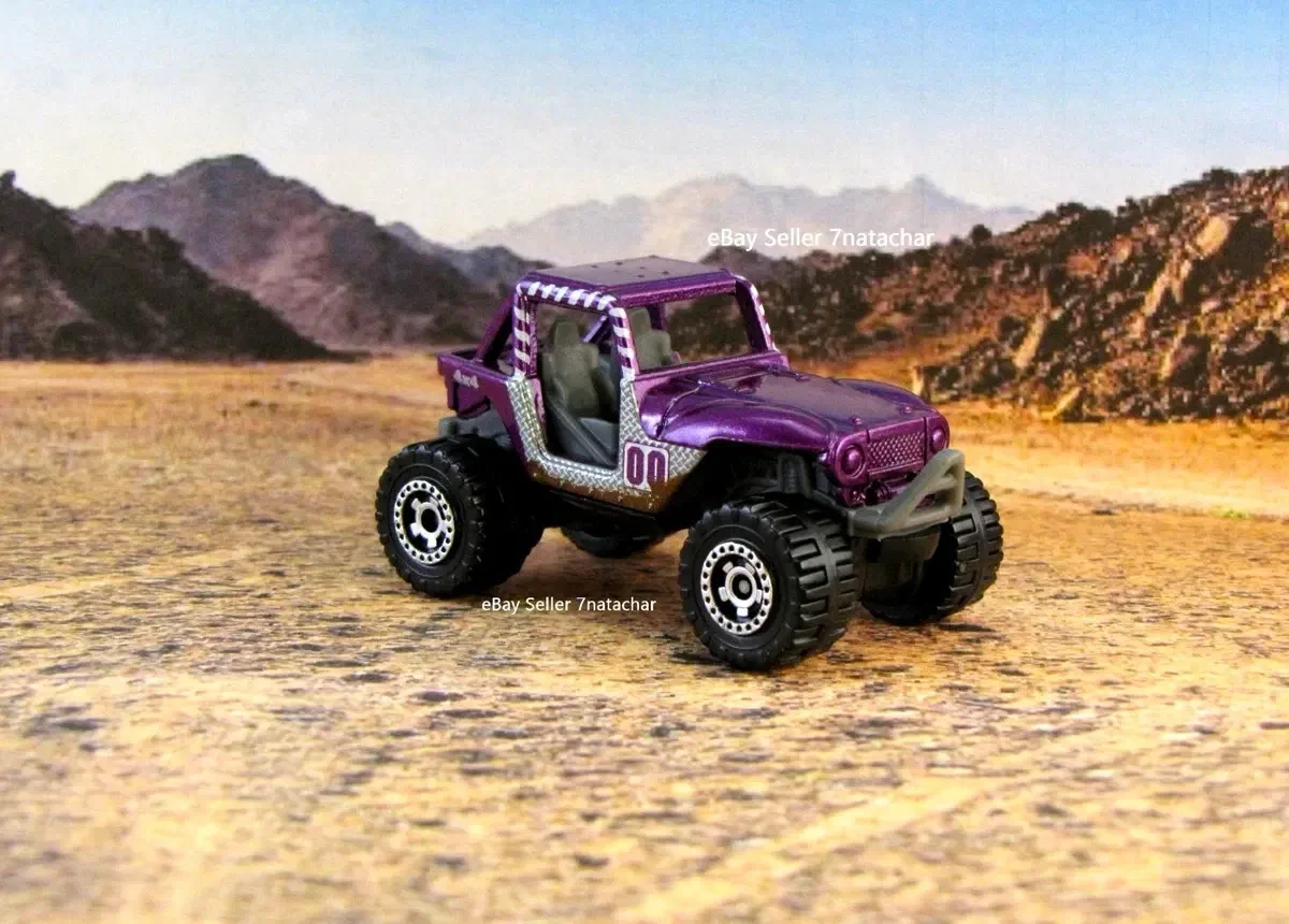 2010 MBX 4x4 Purple: No Package: Image 2