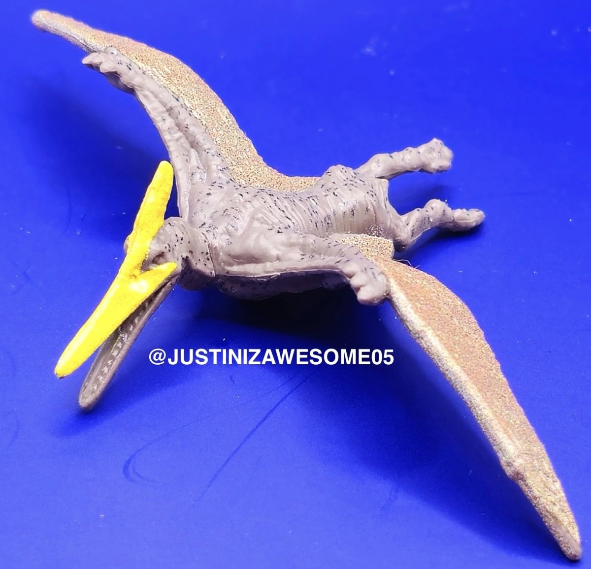 2022 Pteranodon: No package: Image 2