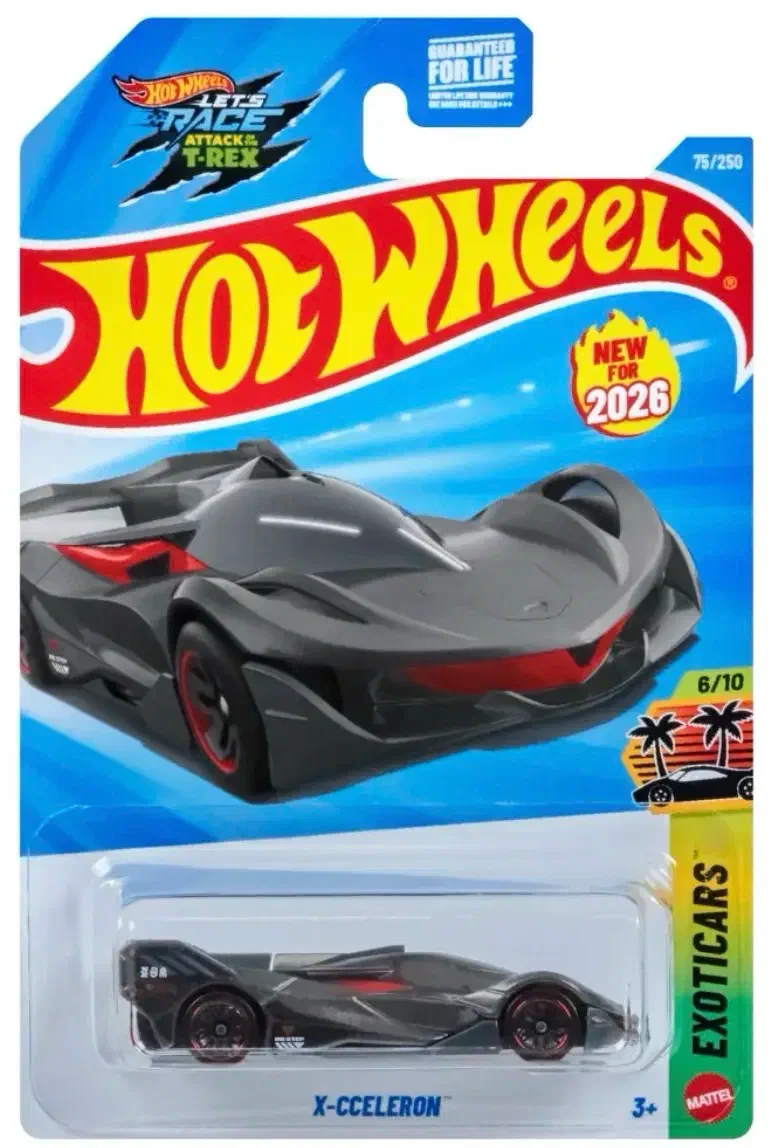 2026 X-Cceleron Grey: Long (US): Image 6
