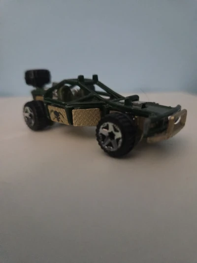 Roll Cage