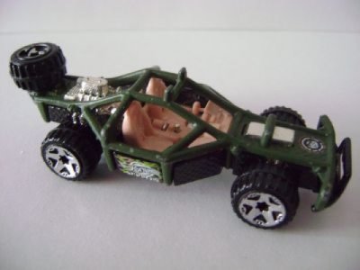 Roll Cage