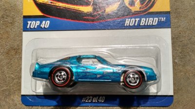 Hot Bird