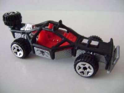 Roll Cage