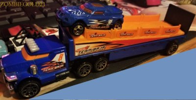 Desert Race