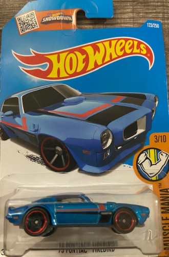 73 Pontiac Firebird