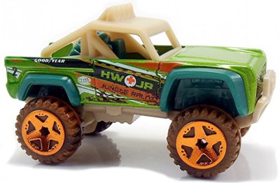 Custom Ford Bronco