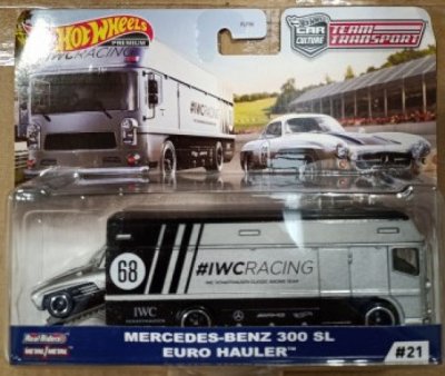 Mercedes-Benz 300 SL & Euro Hauler