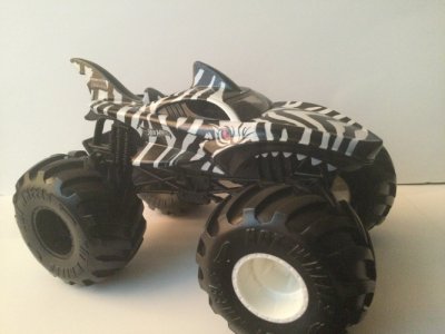 Shark Wreak Zebra Shark