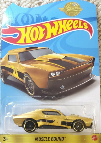 Muscle Bound