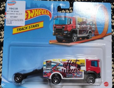 Scania Rally Truck