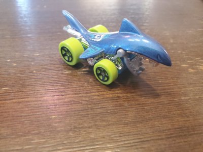 Shark Bite