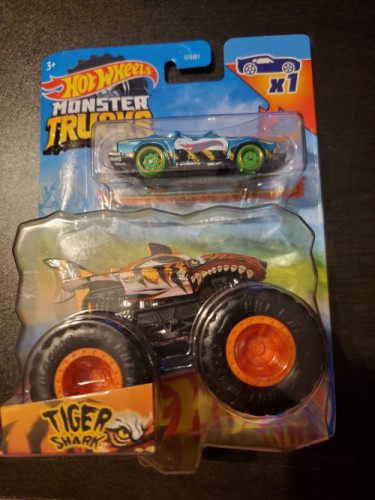 Tiger Shark