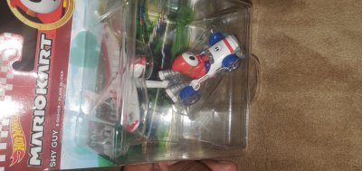 Shy guy b-dasher+plane glider