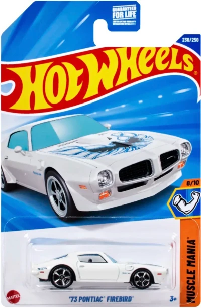 73 Pontiac Firebird