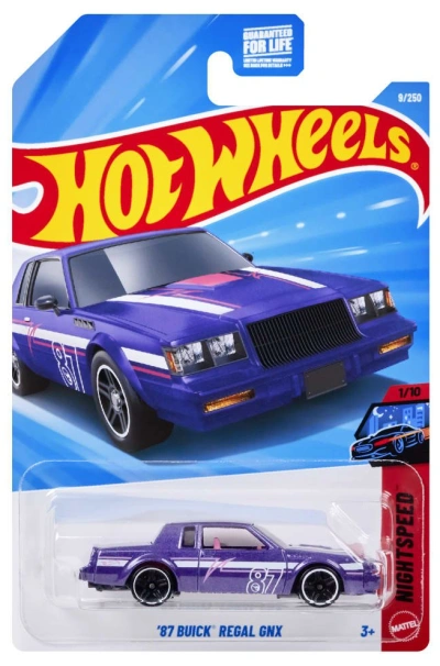 87 Buick Regal GNX