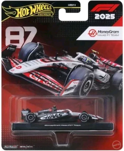 MoneyGram Haas F1 Team - VF-25 (#87)