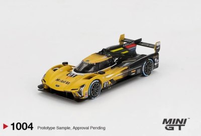 Cadillac V-Series.R #01 Cadillac Racing 2024 IMSA Sebring 12 Hrs