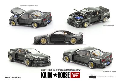 Nissan Skyline GT-R (R34) Kaido Works GReddy V2