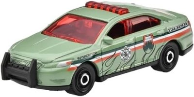 Ford Police Interceptor