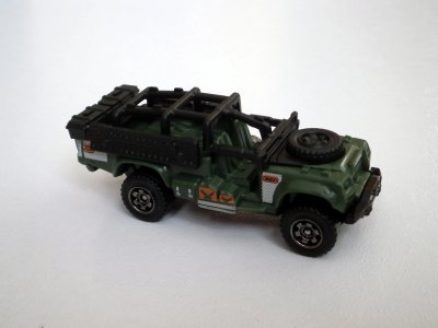 Sahara Survivor