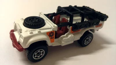 Sahara Survivor