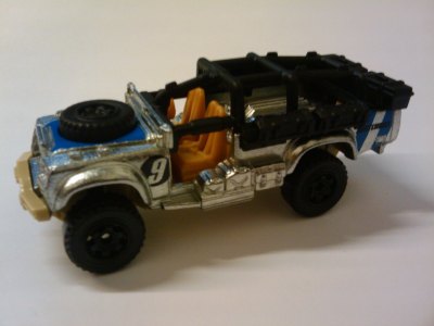 Sahara Survivor