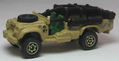 Sahara Survivor