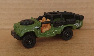 Sahara Survivor