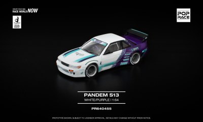 Pandem S13