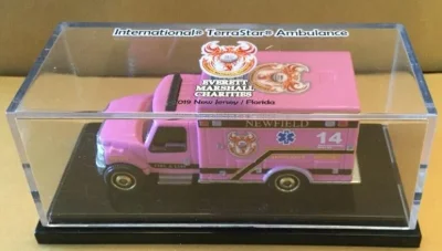 International TerraStar Ambulance
