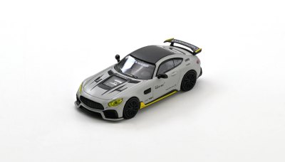 DarwinPro AMG GT Hobby Expo China 2026 Event Edition