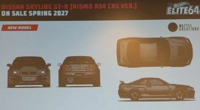 Nissan Skyline GT-R (NISMO R34 CRS)
