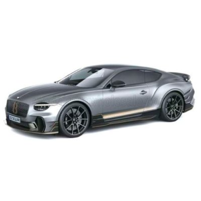 CONTINENTAL GT SUPERSPORTS