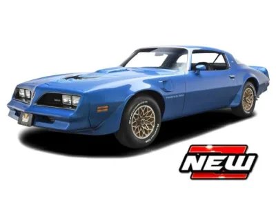 Pontiac Firebird Trans AM Special Edition