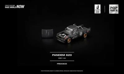 Pandem 620