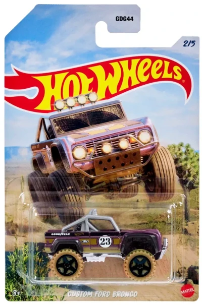 Custom Ford Bronco