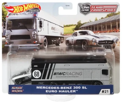 Mercedes-Benz 300 SL & Euro Hauler