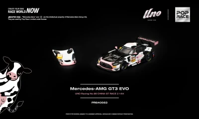 Mercedes-AMG GT3 EVO UNO RACING NO.98 CHINA GT RACE 2 "Momo"